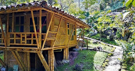 Experiencia Premium: Bungalow de la Selva