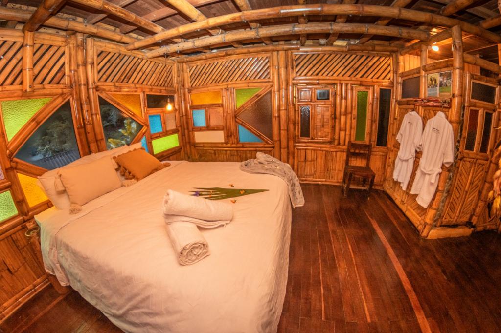 Escape Eco-Lujoso: Noche de Conexión, Cultura y Naturaleza para Dos