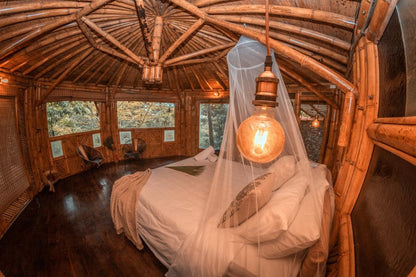 Retiro Premium en la Selva: Lujo, Aventura y Conexión para Dos